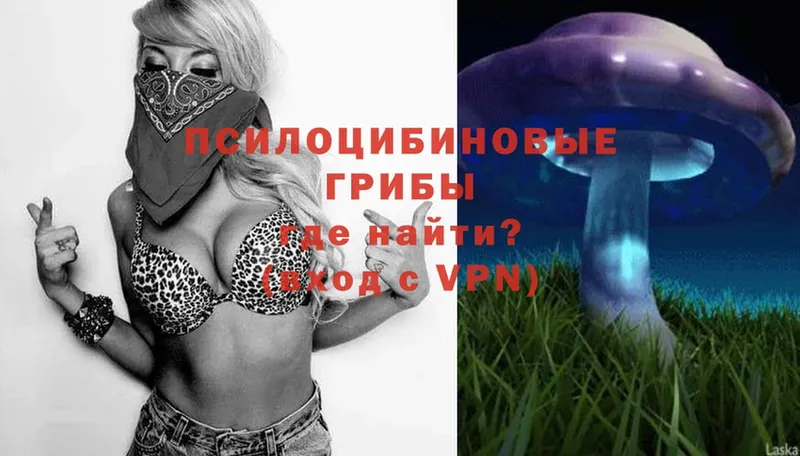 Галлюциногенные грибы Magic Shrooms  Артёмовск 